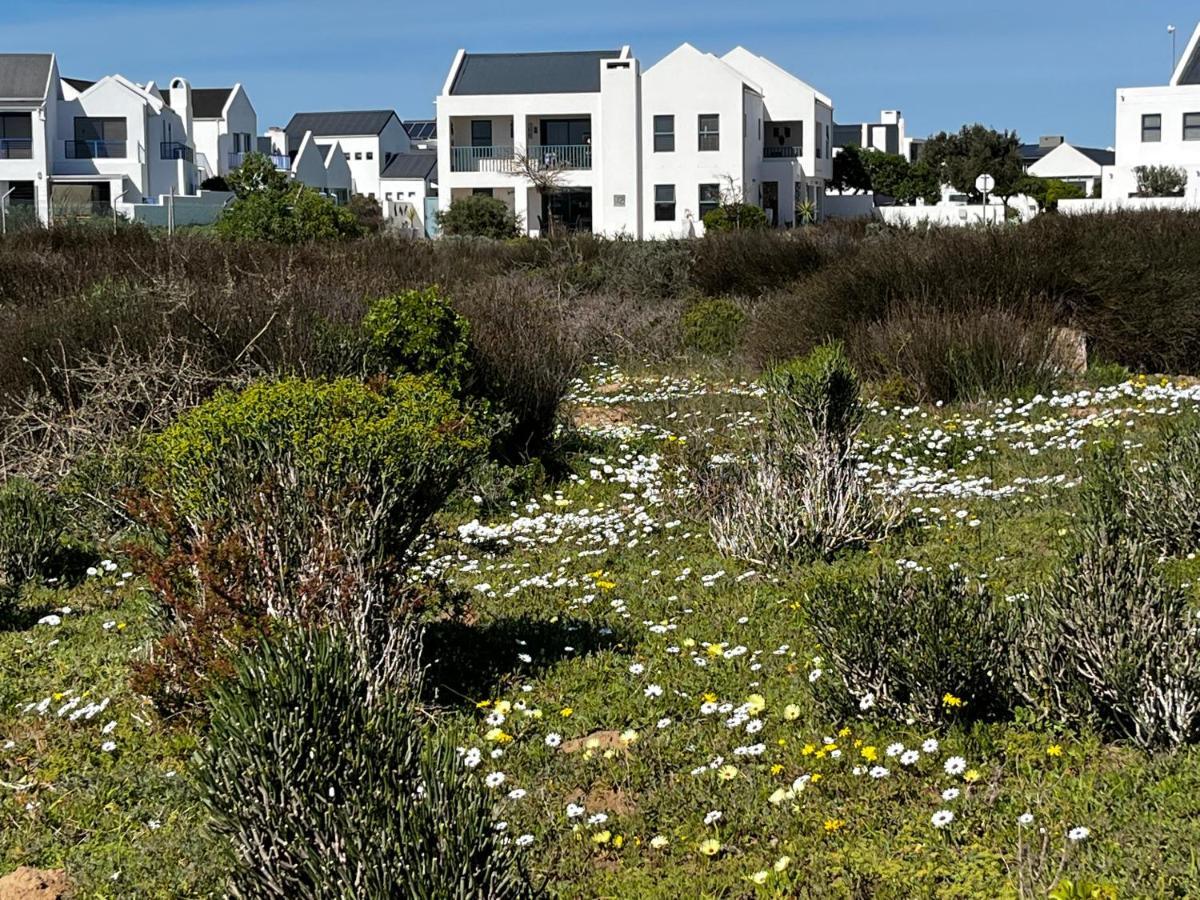 Clam Lagoon Langebaan Exteriör bild